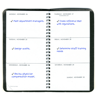 Weekly day-planner with healthcare compliance to-do's.